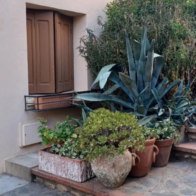 Maison - Banyuls sur Mer - Haus mit 2 Schlafzimmern - 2