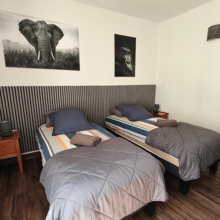 Gîte familial au cœur de Saint-Aignan séjour idéal 3 nuits à 5 min du Zoo de Beauval - Townhouse mit 3 Schlafzimmern - 21