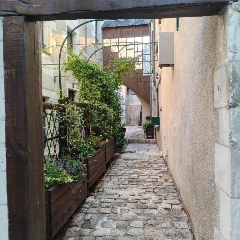 Gîte familial au cœur de Saint-Aignan séjour idéal 3 nuits à 5 min du Zoo de Beauval - Townhouse mit 3 Schlafzimmern - 45