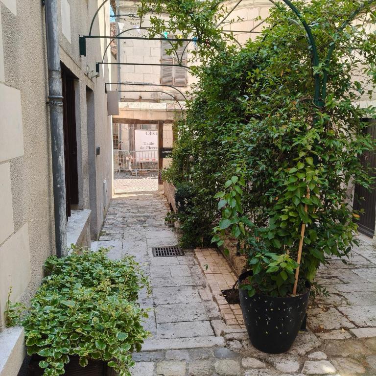Gîte familial au cœur de Saint-Aignan séjour idéal 3 nuits à 5 min du Zoo de Beauval - Townhouse mit 3 Schlafzimmern - 46