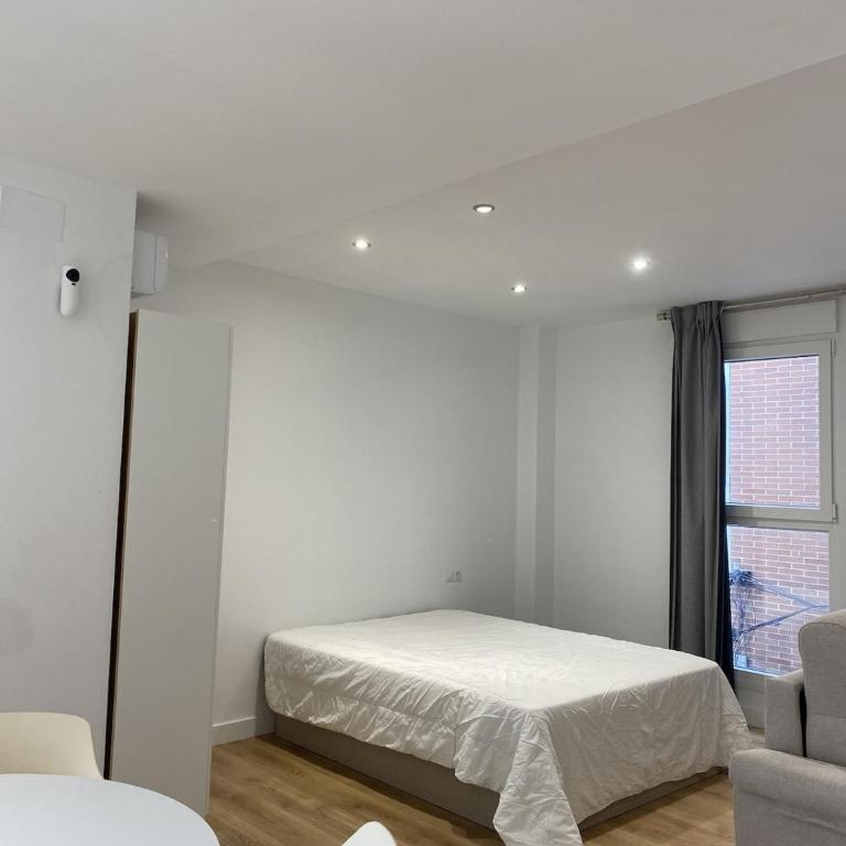 2A Pedregalejo OdIsea - Appartement 1 Chambre - 14