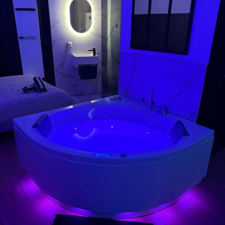 L evazion jacuzzi appartement Grenoble - Appartamento con 1 Camera da Letto - 1