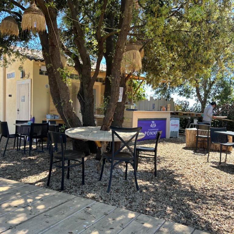Apartment with sea view in Provence, private residence Les Hauts de Vaugrenier - Appartement 1 Chambre - 51