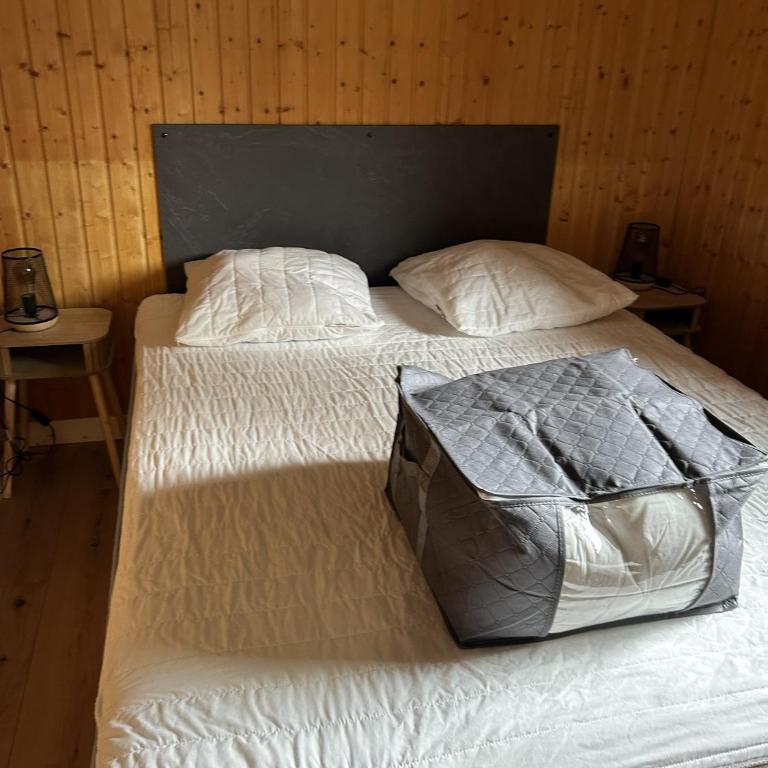 Appt Cosy Vue Montagne & Piscine - Le Darineli - Appartement 2 Chambres - 13