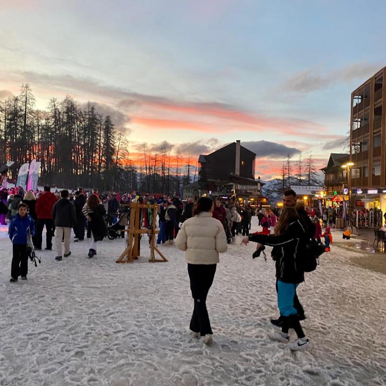 L'Aparté Valberg, Appartement en résidence 3 étoiles au pied des pistes - Appartement 1 Chambre - 13