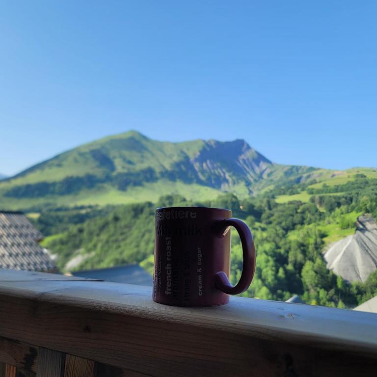 Appt Cosy Vue Montagne & Piscine - Le Darineli - Appartement 2 Chambres - 59