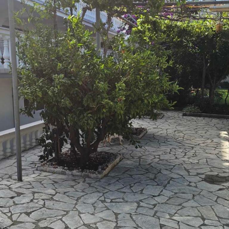 Apartman mirela - Apartman sa 1 Spavaćom Sobom - 18