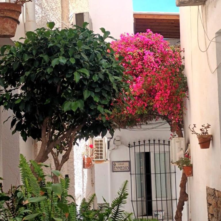 Casa María - Apartamento de 1 dormitorio - 4