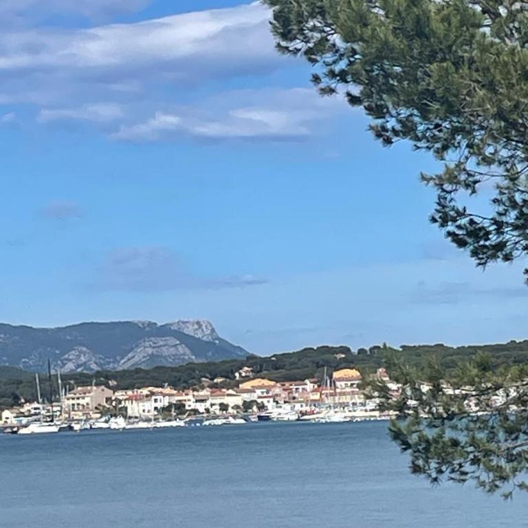 appt vue mer proche de la plage et du centre ville - Apartment mit 1 Schlafzimmer und Balkon - 10