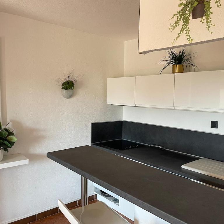 appt vue mer proche de la plage et du centre ville - Apartment mit 1 Schlafzimmer und Balkon - 18