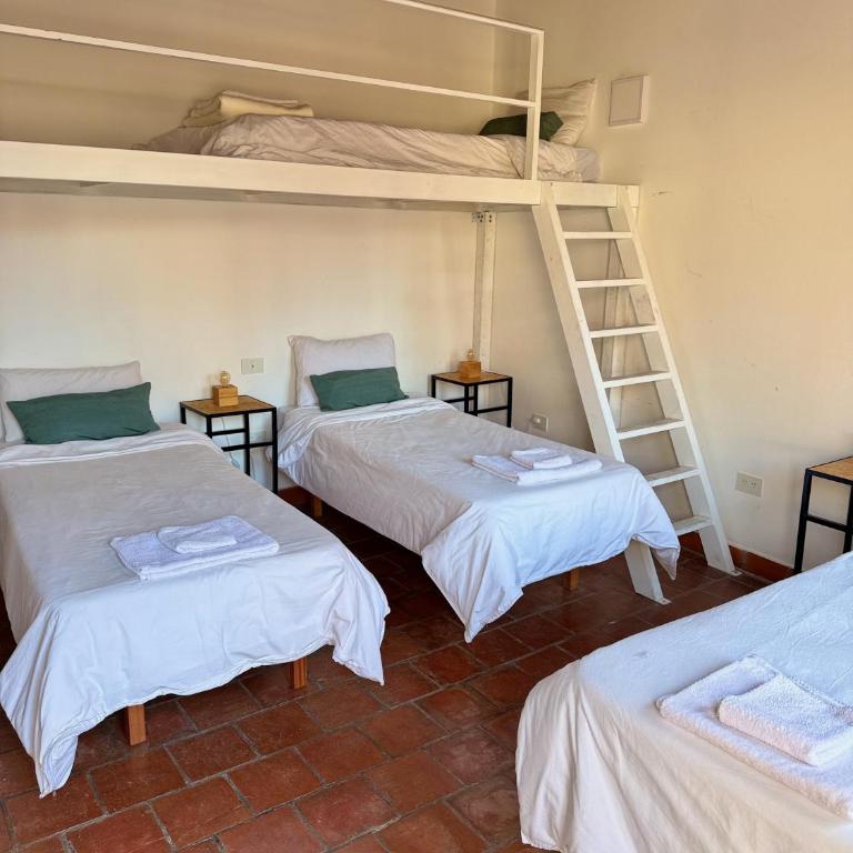 Clivias Hostel - Cama individual en habitación compartida mixta - 2