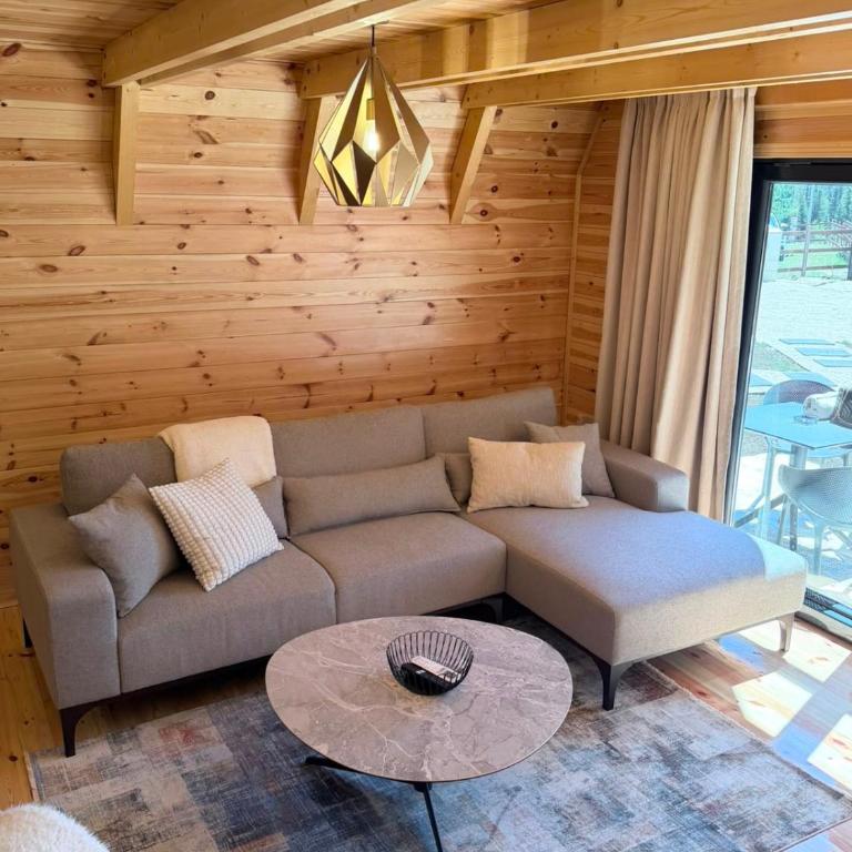 Vila La Montaña 1 Zabljak - Two-Bedroom House - 5