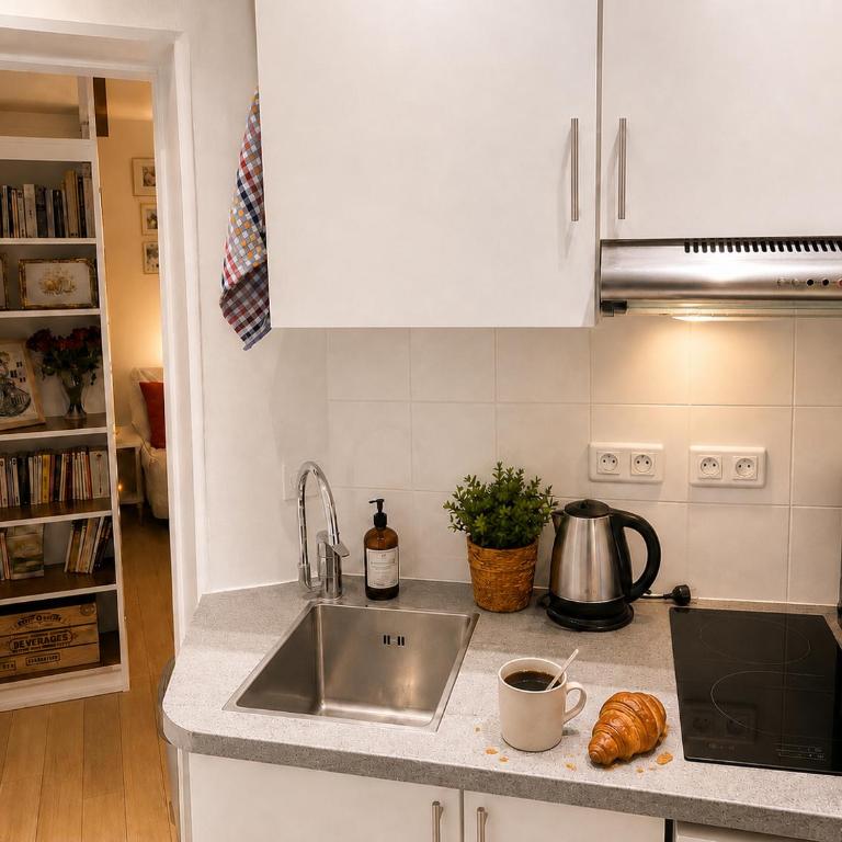 Central Paris, Quiet Apartment in Le Marais AC and near Metro - Appartement 1 Chambre - 4