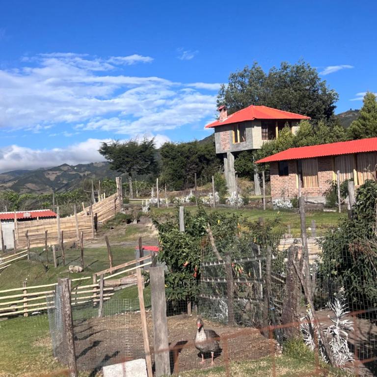 Refugio del venado familiar - Apartamento de 1 dormitorio - 4