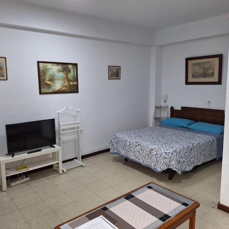 Loft luminoso y espacioso al lado de Las Canteras - Loft - 5