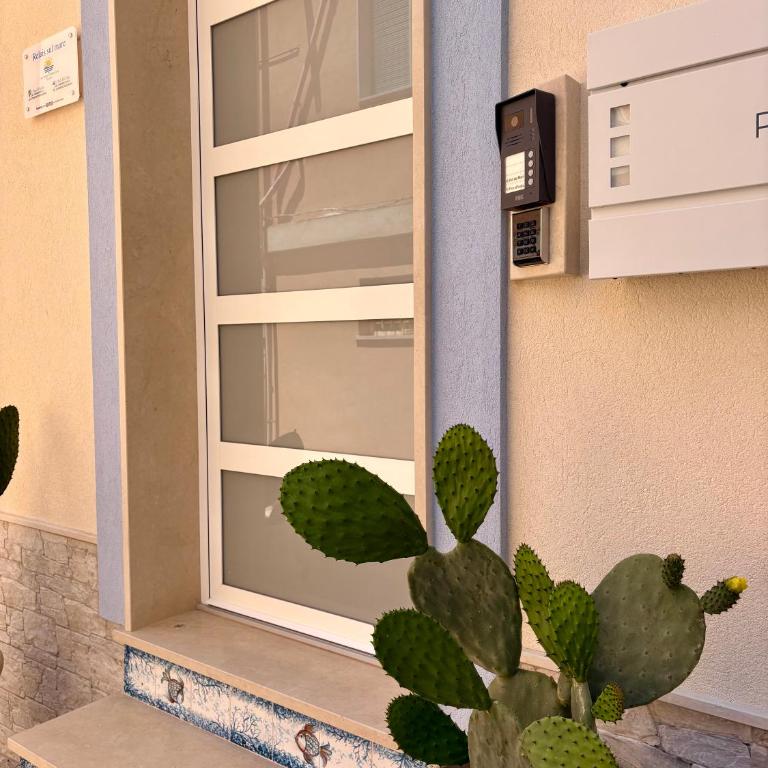 U Ficu d'India - Apartamento de 1 dormitorio - 19