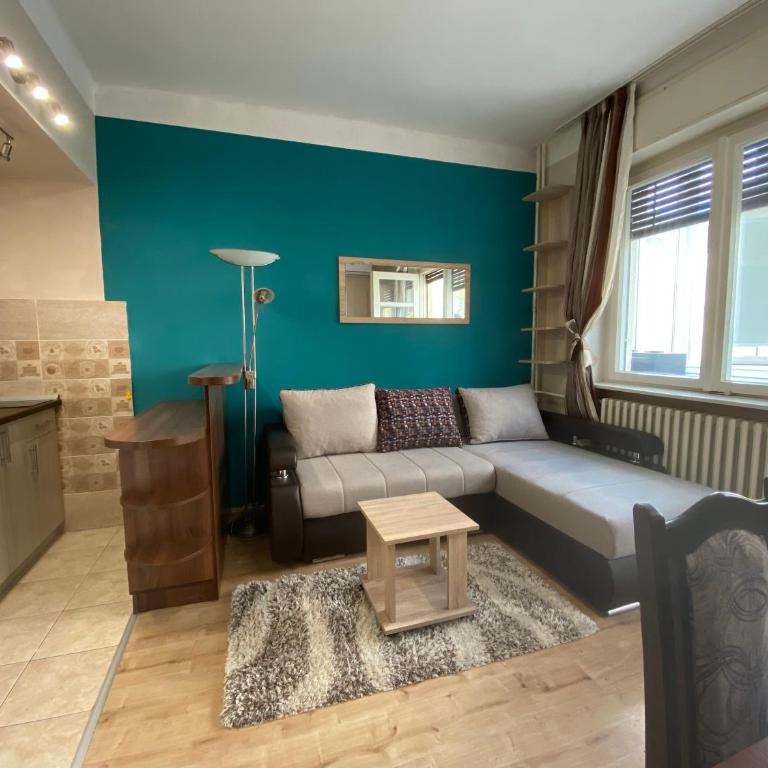Sunny Danube Studio - Apartman sa 1 Spavaćom Sobom - 4