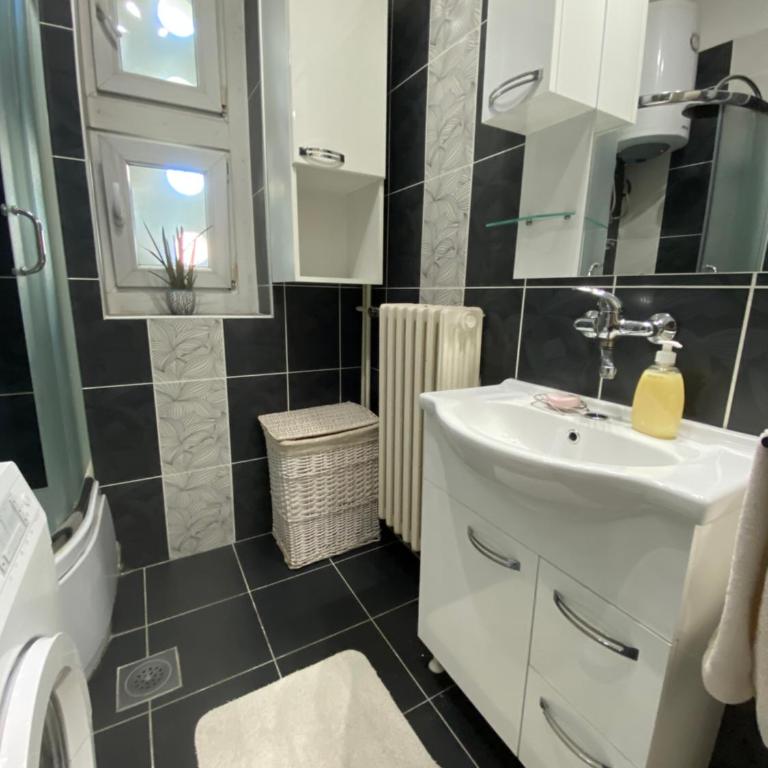 Sunny Danube Studio - Apartman sa 1 Spavaćom Sobom - 5