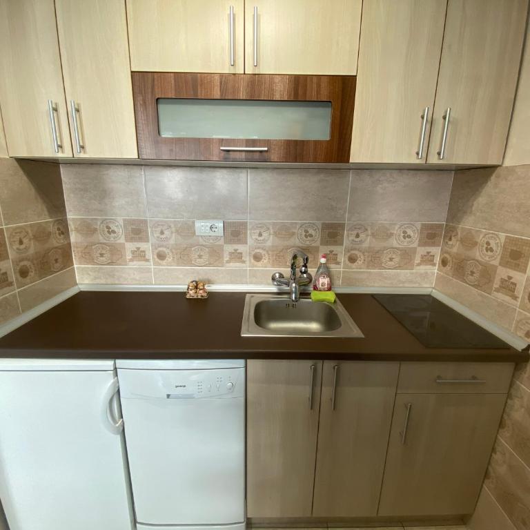 Sunny Danube Studio - Apartman sa 1 Spavaćom Sobom - 7