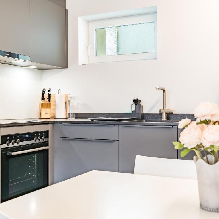 Renoviertes Studio oberhalb Visp mit Balkon und Bergblick - Apartment mit 1 Schlafzimmer - 3