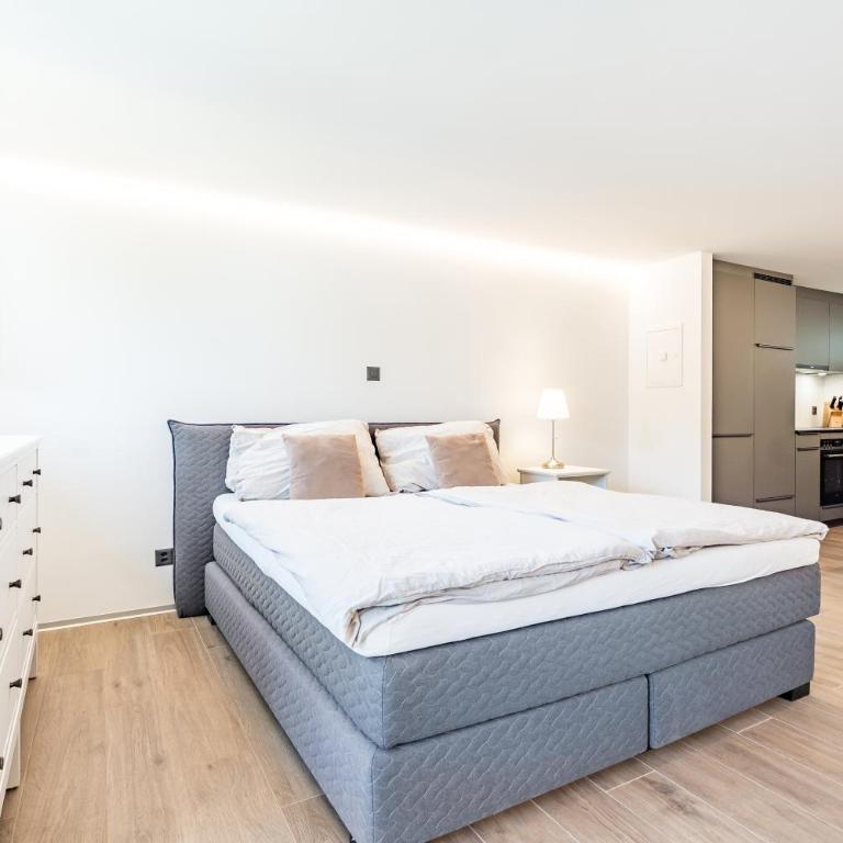 Renoviertes Studio oberhalb Visp mit Balkon und Bergblick - Apartment mit 1 Schlafzimmer - 1