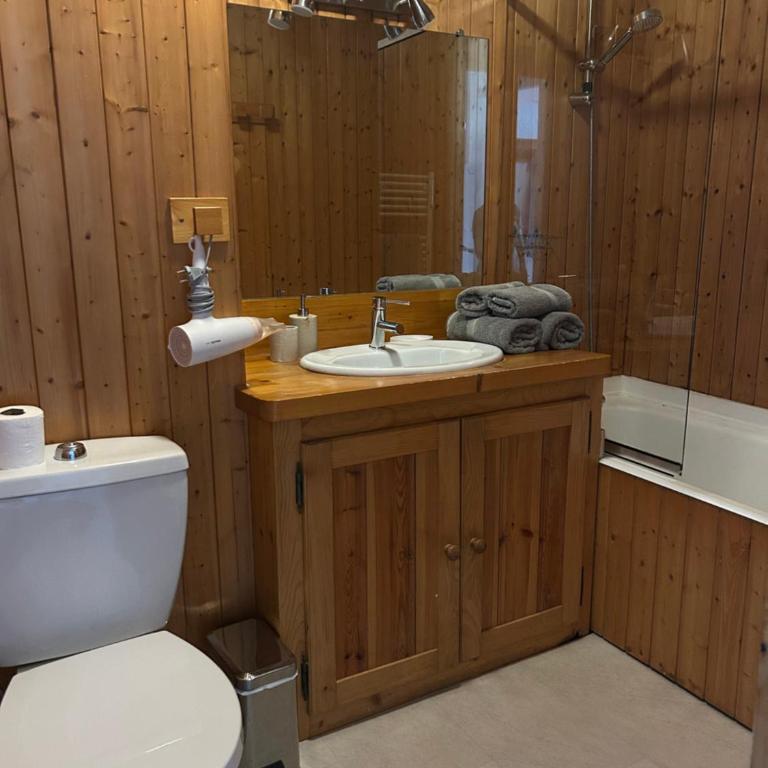 Abeille de Chamonix - Appartement 2 Chambres - 18
