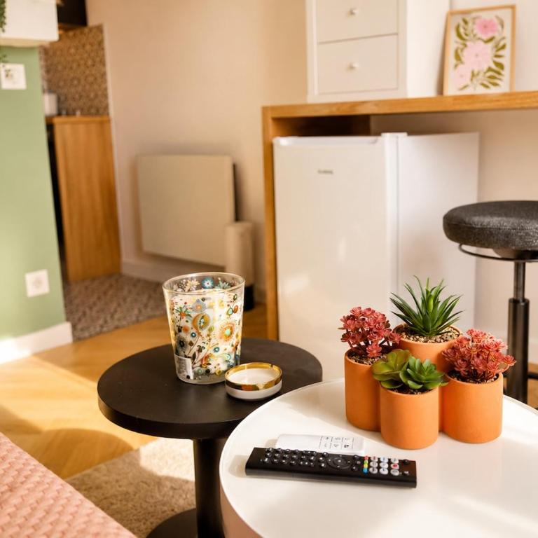 Bright Studio with Iconic Paris Rooftop Sunsets - Studio Supérieur - 12