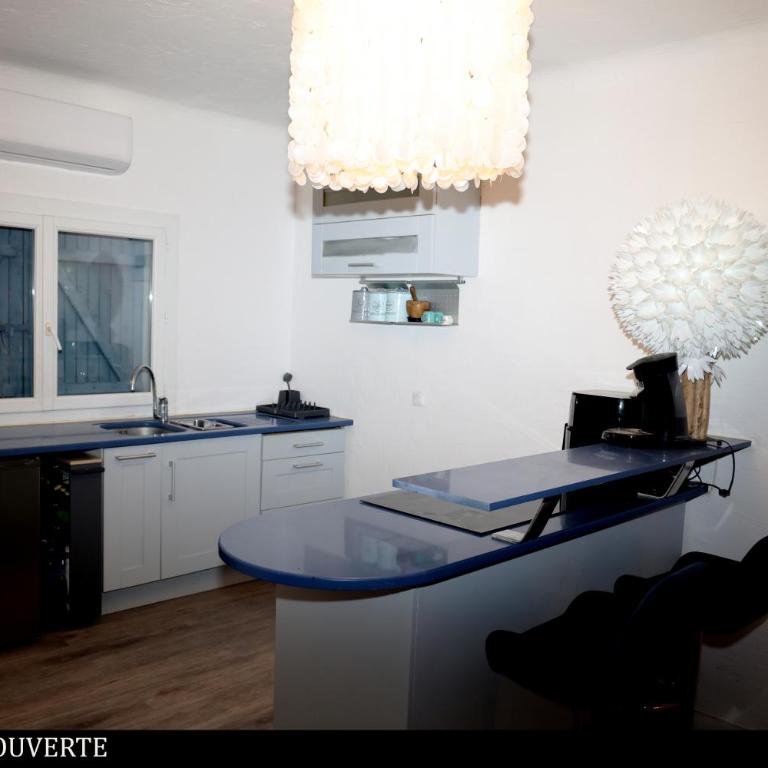 Le Grand BLEU apartment - Appartement 2 Chambres - 1