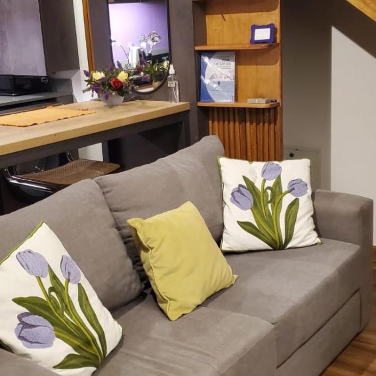 Entre Notros - One-Bedroom Apartment - 40