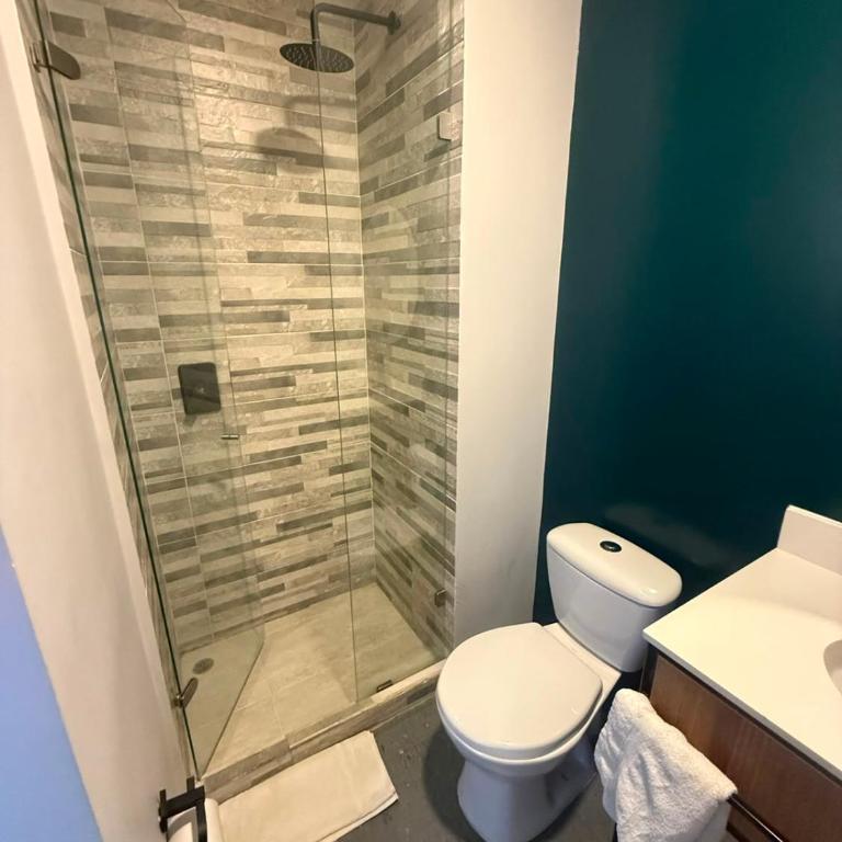 Atelier Ivin 567 - Apartamento Superior - 30