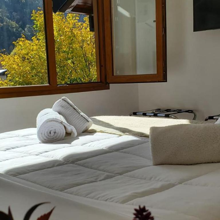 Entre Notros - One-Bedroom Apartment - 17