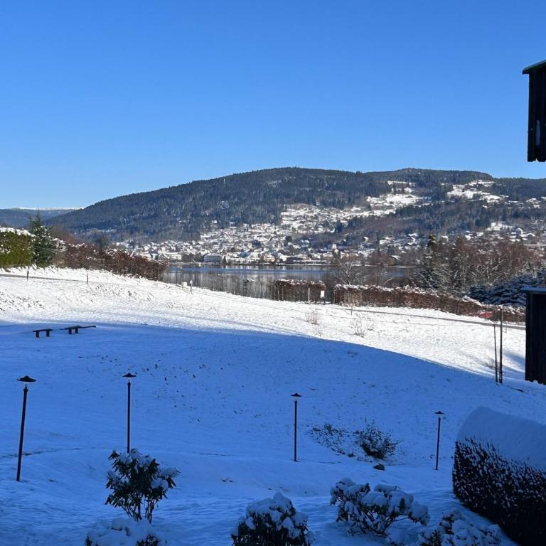 Domaine Coup de Cœur - Le Cocon du Lac - Appartement - Vue sur Lac - 23