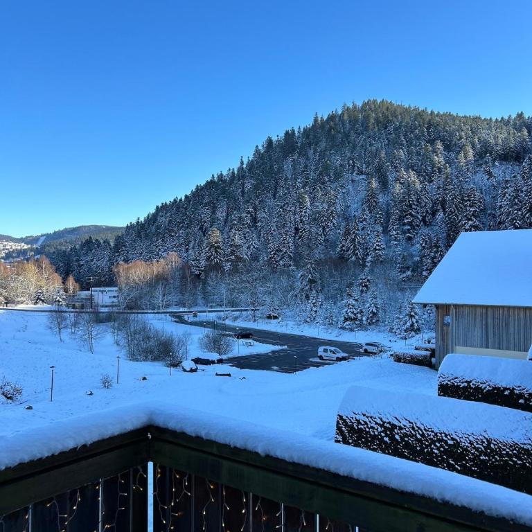 Domaine Coup de Cœur - Le Cocon du Lac - Appartement - Vue sur Lac - 24