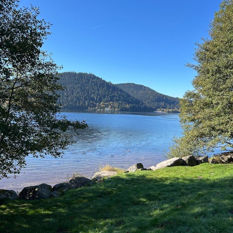 Domaine Coup de Cœur - Le Cocon du Lac - Appartement - Vue sur Lac - 27