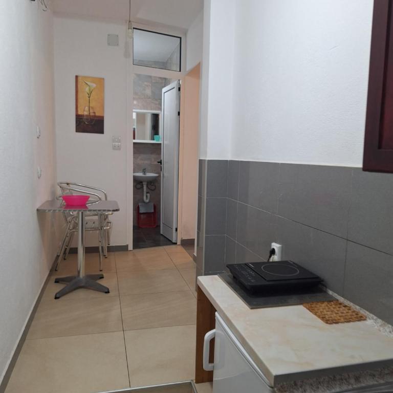 Apartmani Miladinović - Studio - 3