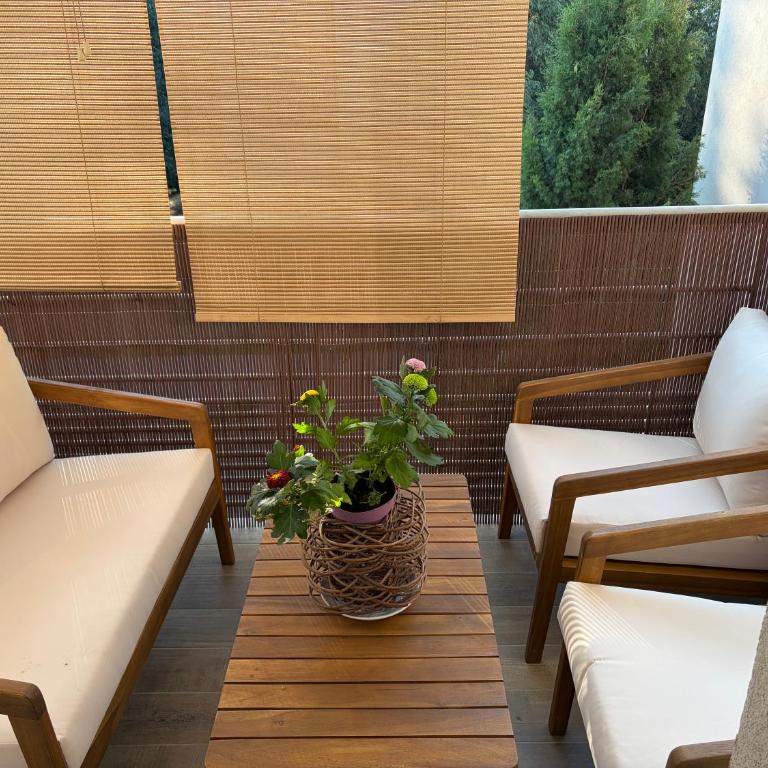 Agroparc - Appartement 1 Chambre - 6