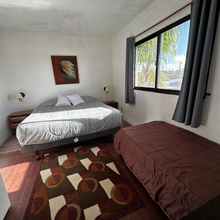 Casa Estrella de Mar - Casa con 1 dormitorio - 7