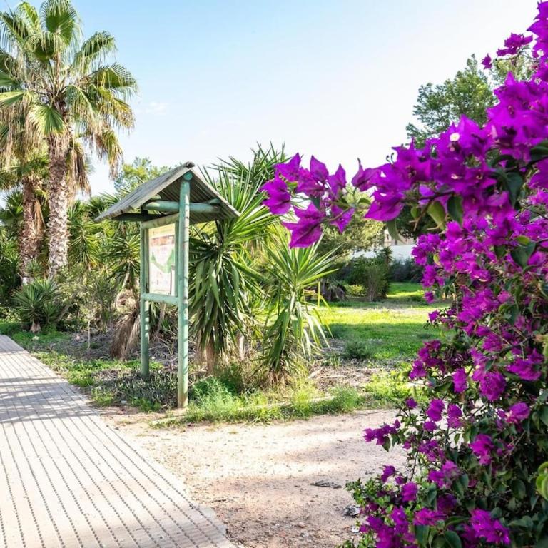 Villa with heated pool in La Zenia - Villa mit 3 Schlafzimmern - 15