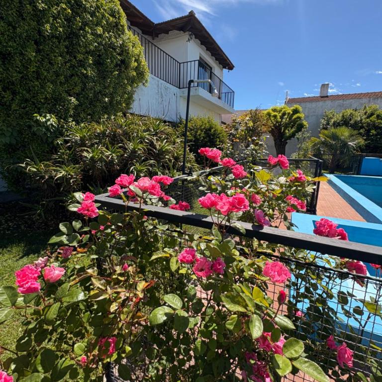 LA CALLEJA APART, dúplex con vista a la piscina. - Apartamento de 1 dormitorio - 21