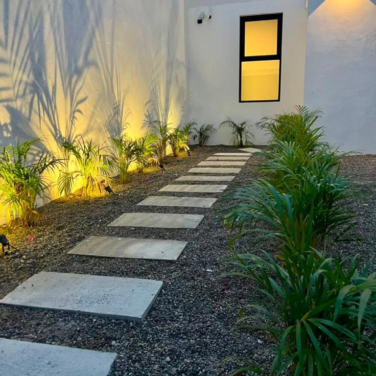 2BR Boutique Tropical Hideaway Zona Romántica 1st Floor - Two-Bedroom Apartment - 2