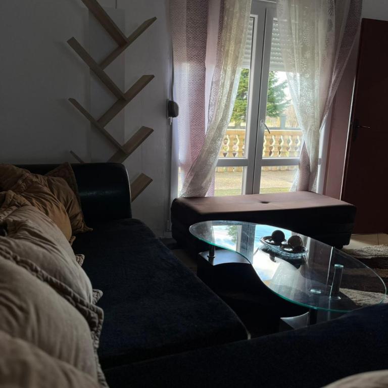 Studio apartman Delic - Two-Bedroom Apartment - 4