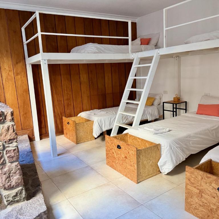 Clivias Hostel - Cama individual en habitación compartida mixta - 3
