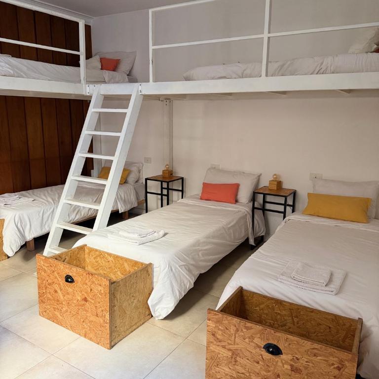 Clivias Hostel - Cama individual en habitación compartida mixta - 4