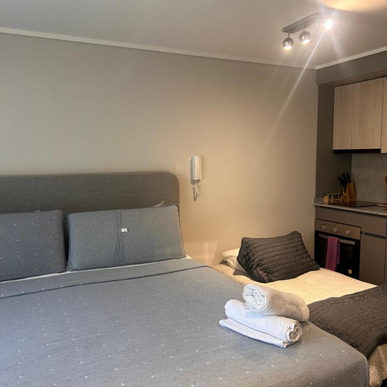 King Studio Santiago Centro Cerca Movistar Arena y Fantasilandia - One-Bedroom Apartment - 18