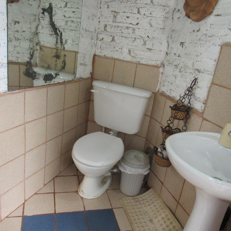 Amplio Loft en Planta baja frente a cochera cubierta - Apartamento de 1 dormitorio - 40