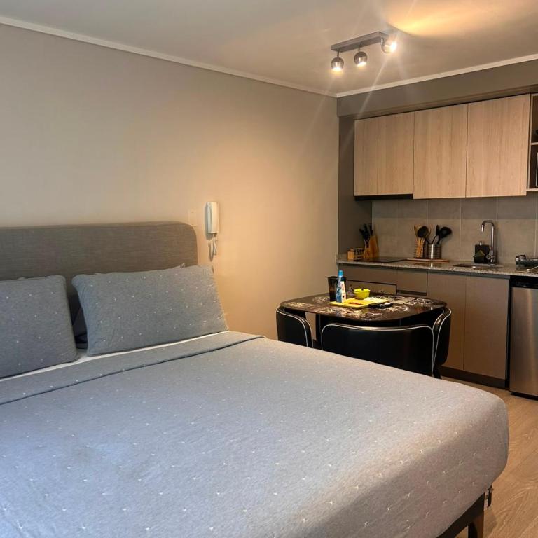 King Studio Santiago Centro Cerca Movistar Arena y Fantasilandia - One-Bedroom Apartment - 19
