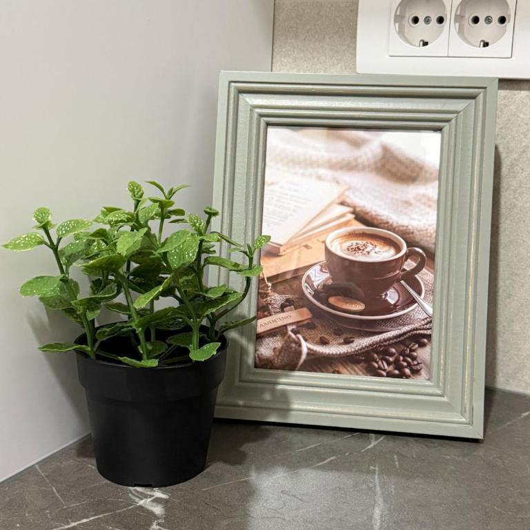 Urban Oasis - Apartman sa 2 Spavaće Sobe - 16