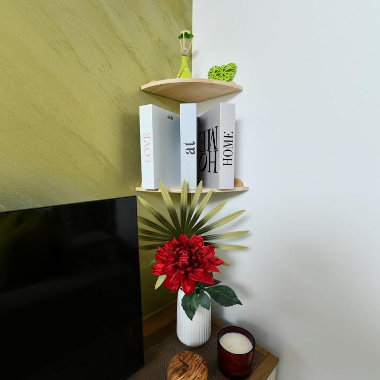 Lux Studio 7 & Lux Studio 1,Panorama ,Vrnjacka Banja - Apartman - 15