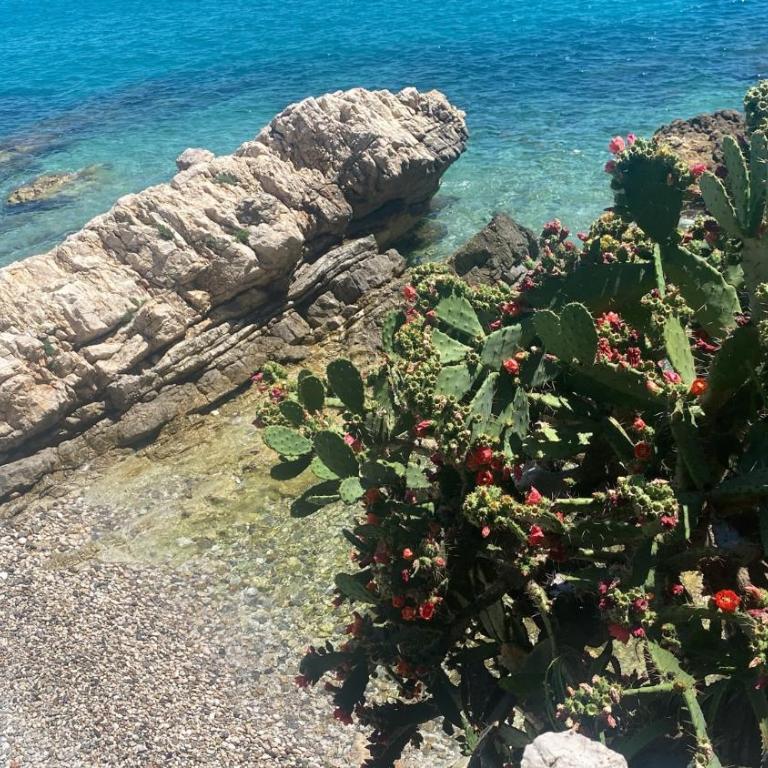 Appartamento Fronte Mare con Terrazza McGregor's Seaview - McGregor's Seaview Studio - 39