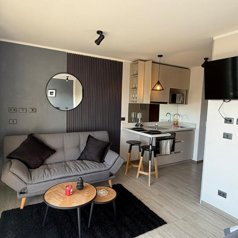 Beautiful fully furnished apartment - One-Bedroom Apartment - 1